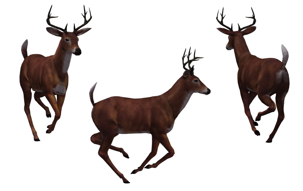 deer png images with transparent background #22306