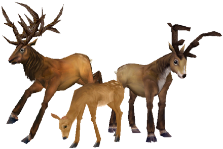 deer wowpedia your wiki guide the world warcraft #22301