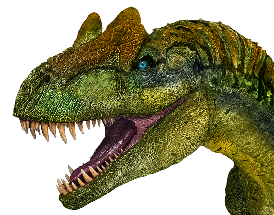 dinosaur allosaurus dino image pixabay #18657