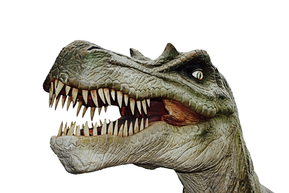 dinosaur dino giant lizard photo pixabay #18627