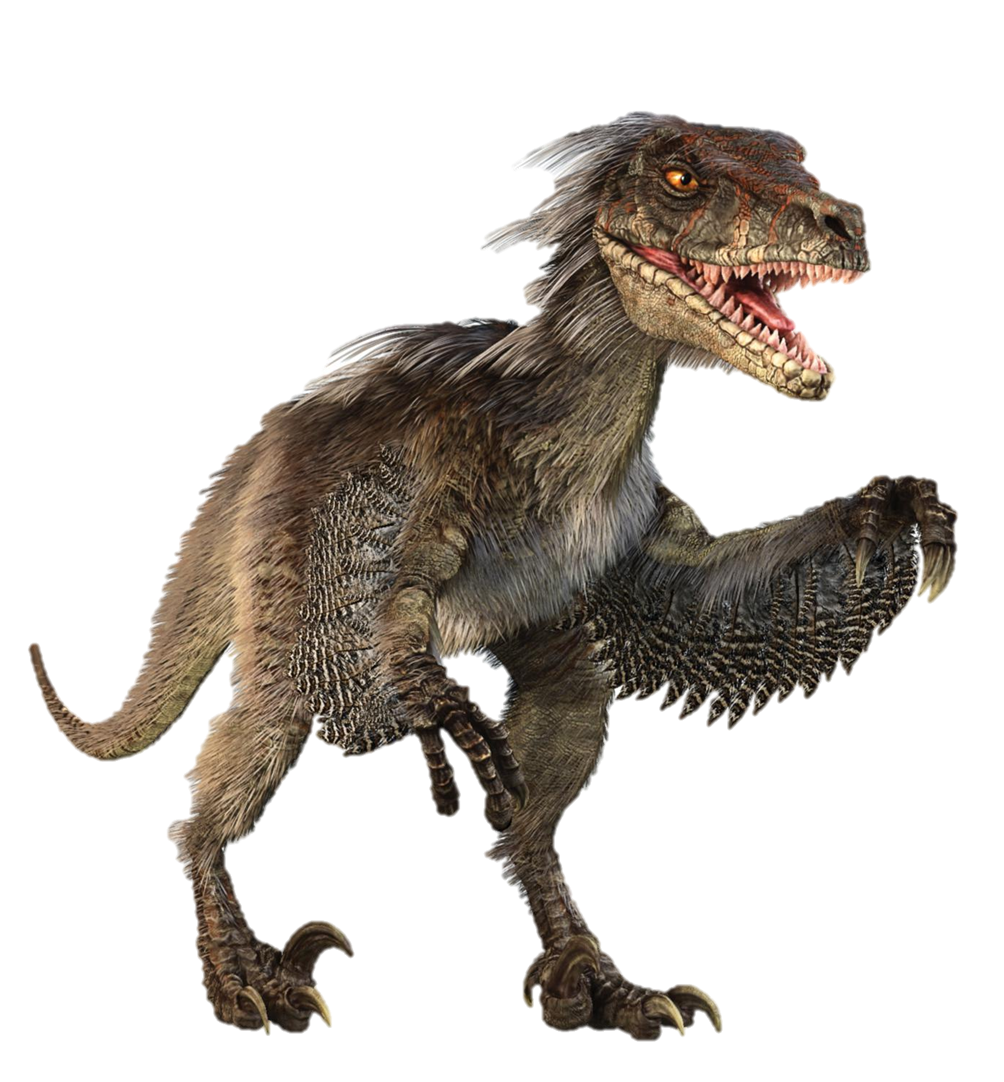 dinosaur, learn about the velociraptor one jurassic world main #18693
