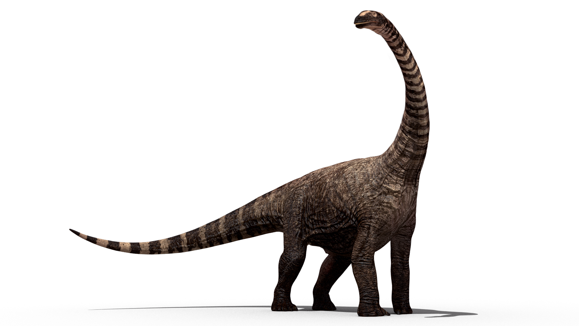 dinosaur png transparent dinosaur images pluspng #18743