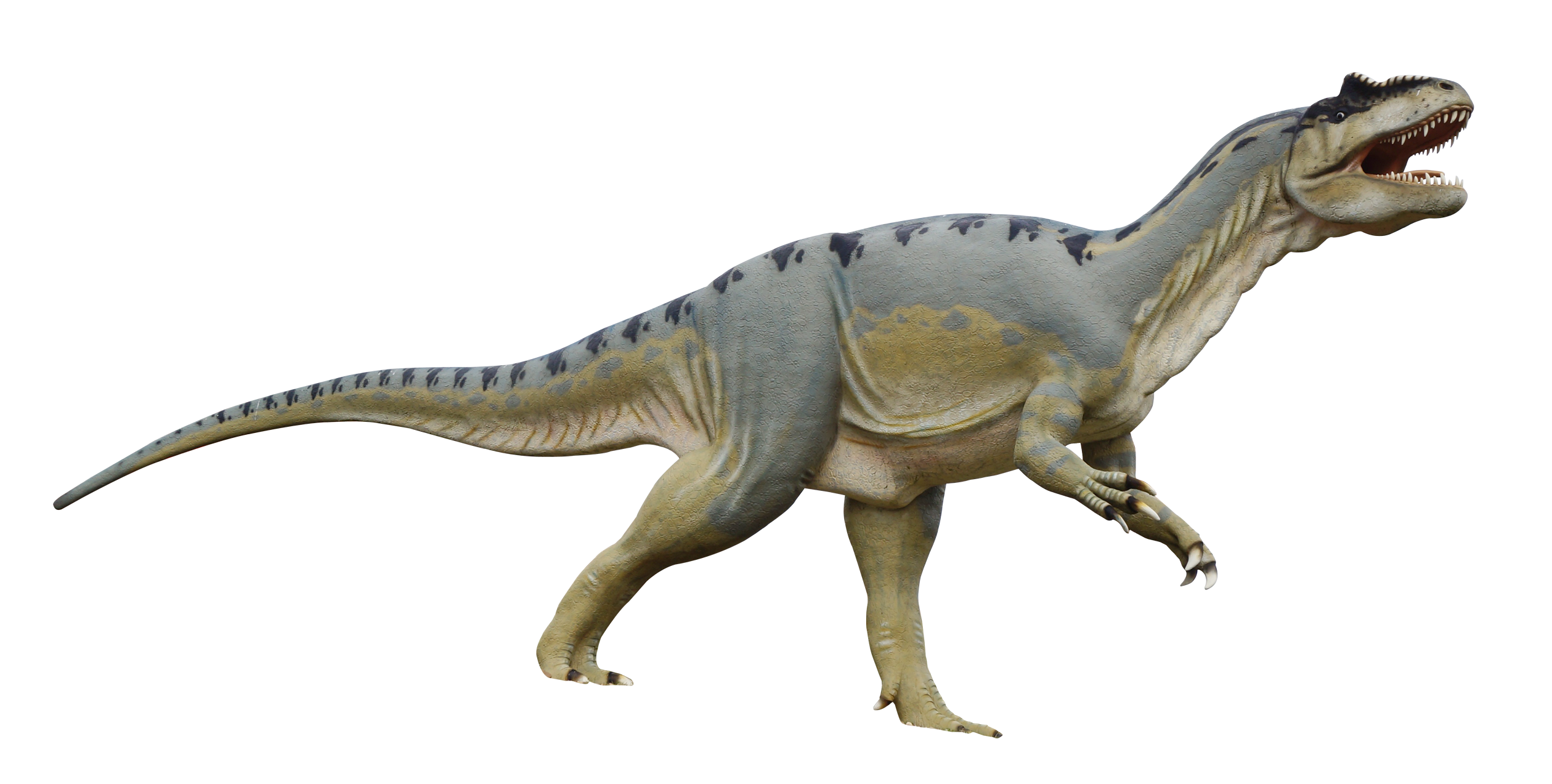 Dinosaur Transparent PNG, Dinosaur Types Free Images Download