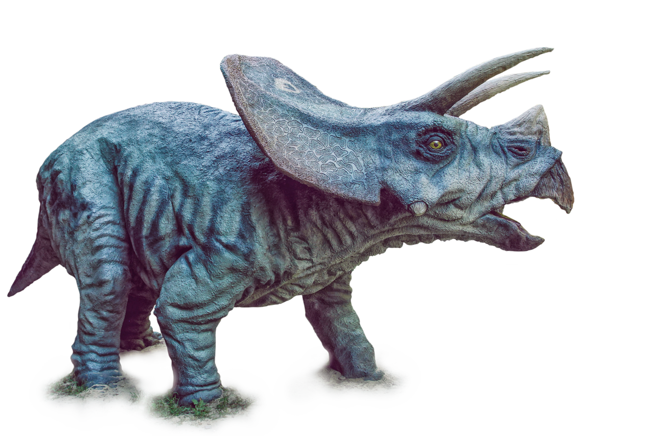 dinosaur triceratops png fumar porros deviantart #18695