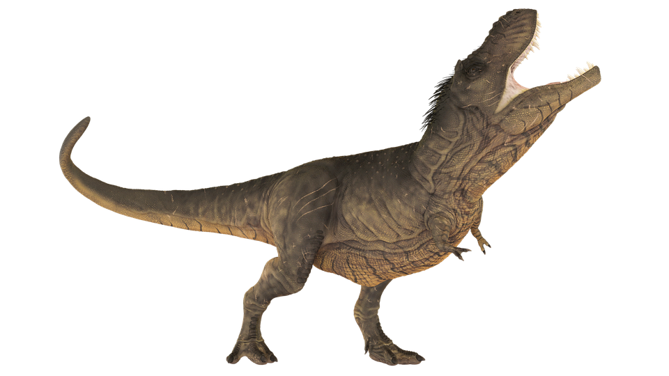 dinosaur tyrannosaurus extinct image pixabay #18703