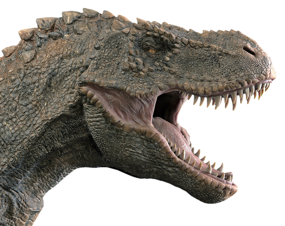 dinosaur tyrannosaurus tyrannosaur photo pixabay #18731