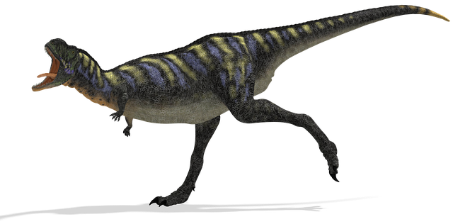 illustration dinosaur aucasaurus animal #18679
