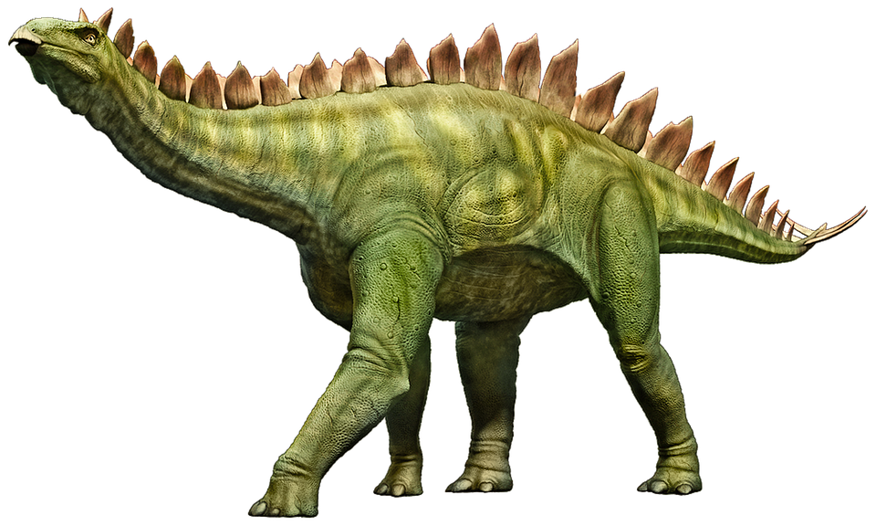 stegosaurus dinosaur stego image pixabay #18690