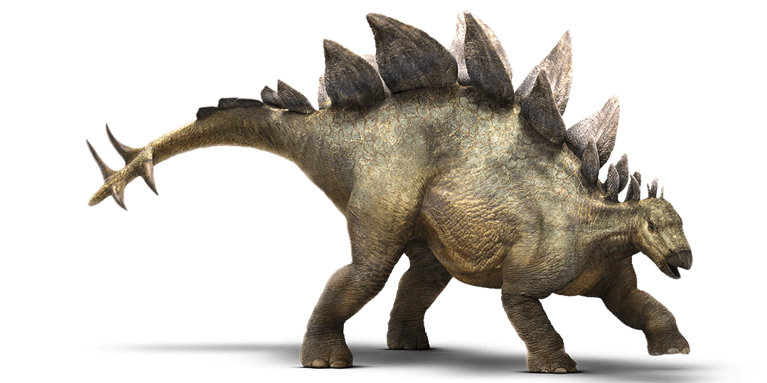 stegosaurus dinosaur wiki fandom powered wikia #18694