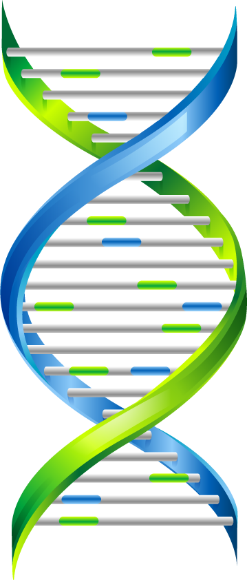 dna, cvscorecard cvnavigator online management made easy #18989