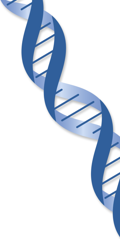 dna, genomics globus #19002