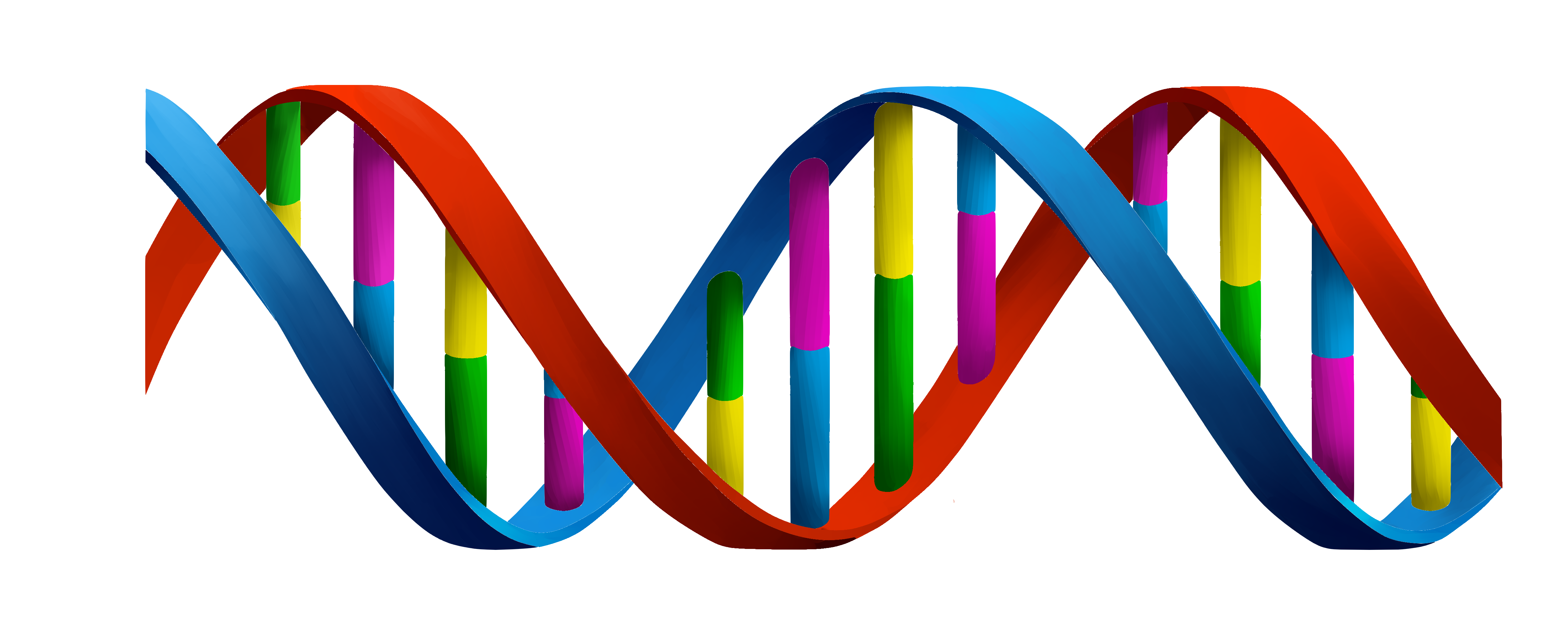 dna, thyroid cancer molecular markers blood sample #19012