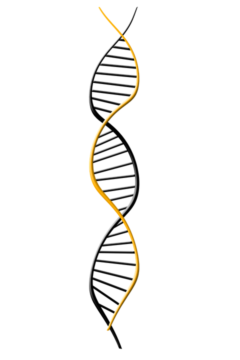 illustration dna deoxyribonucleic acid dns #19011