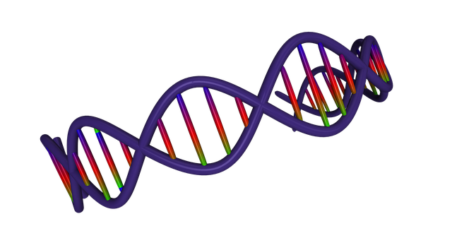 illustration dna medical science genetic #18941