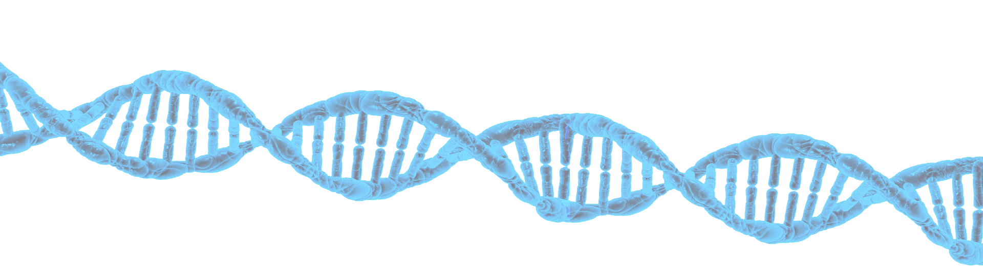 iqbirdtesting avian dna bird analysis dna #18998