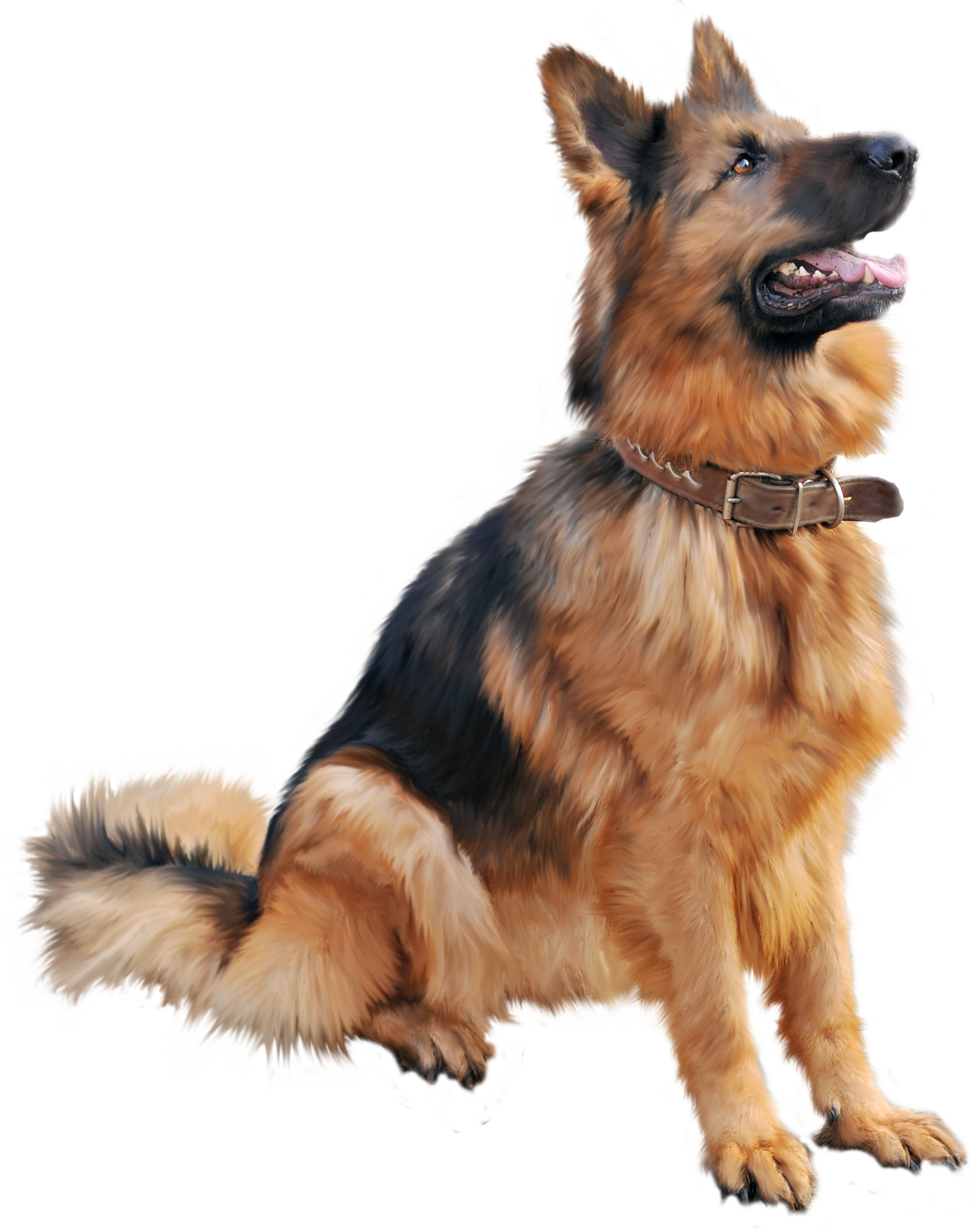 dog hd png