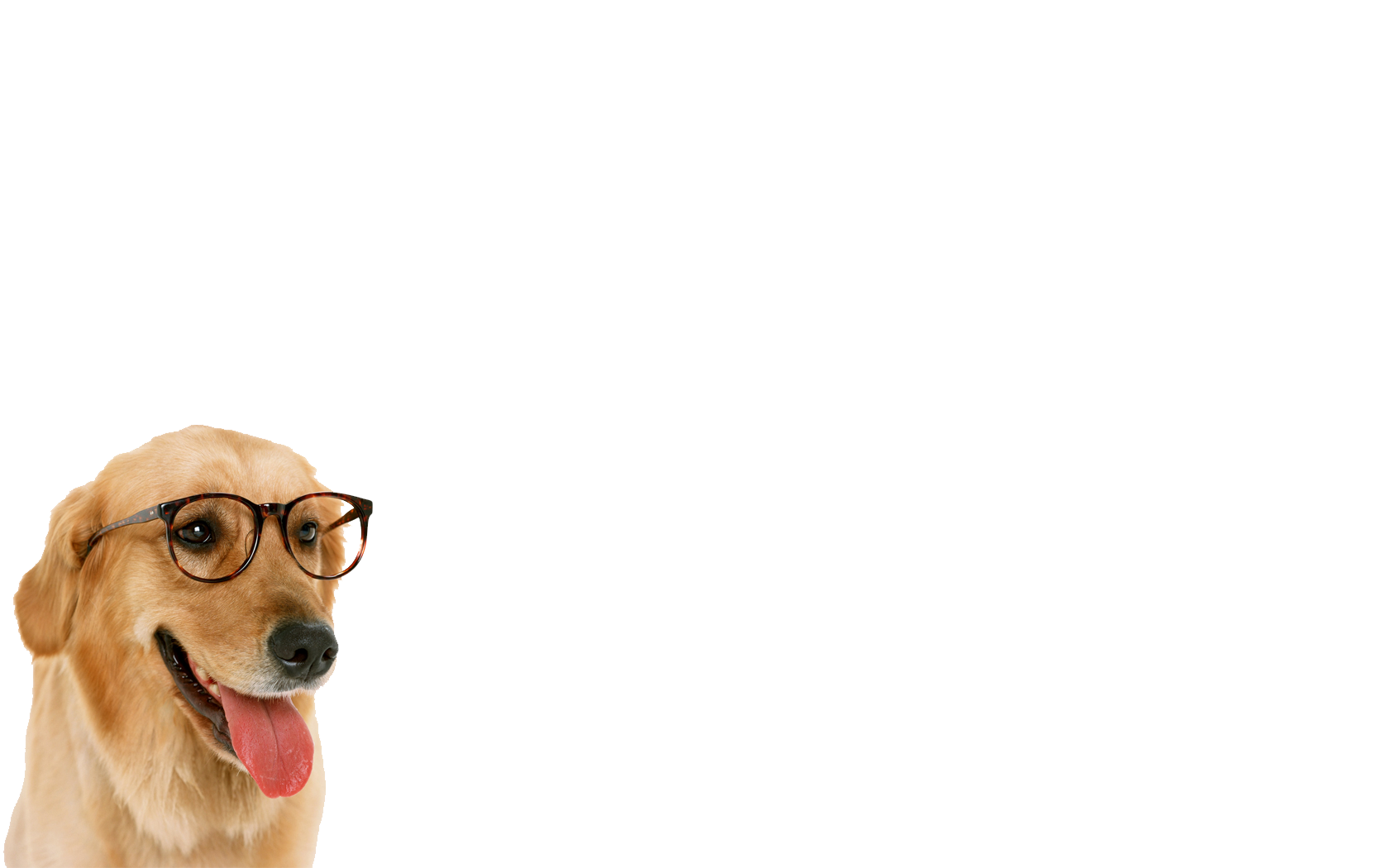 Dog PNG Image, Beautiful Dogs Transparent Pictures