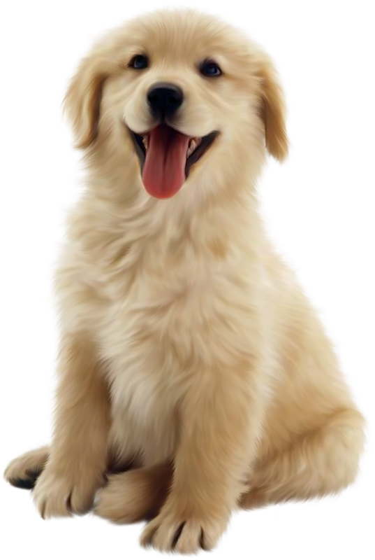 png puppy dog transparent puppy dog images pluspng #11416