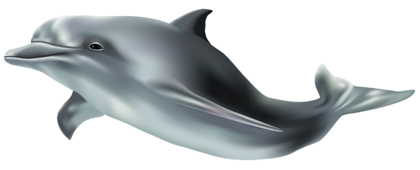 dolphin png clip art image gallery yopriceville high #22018