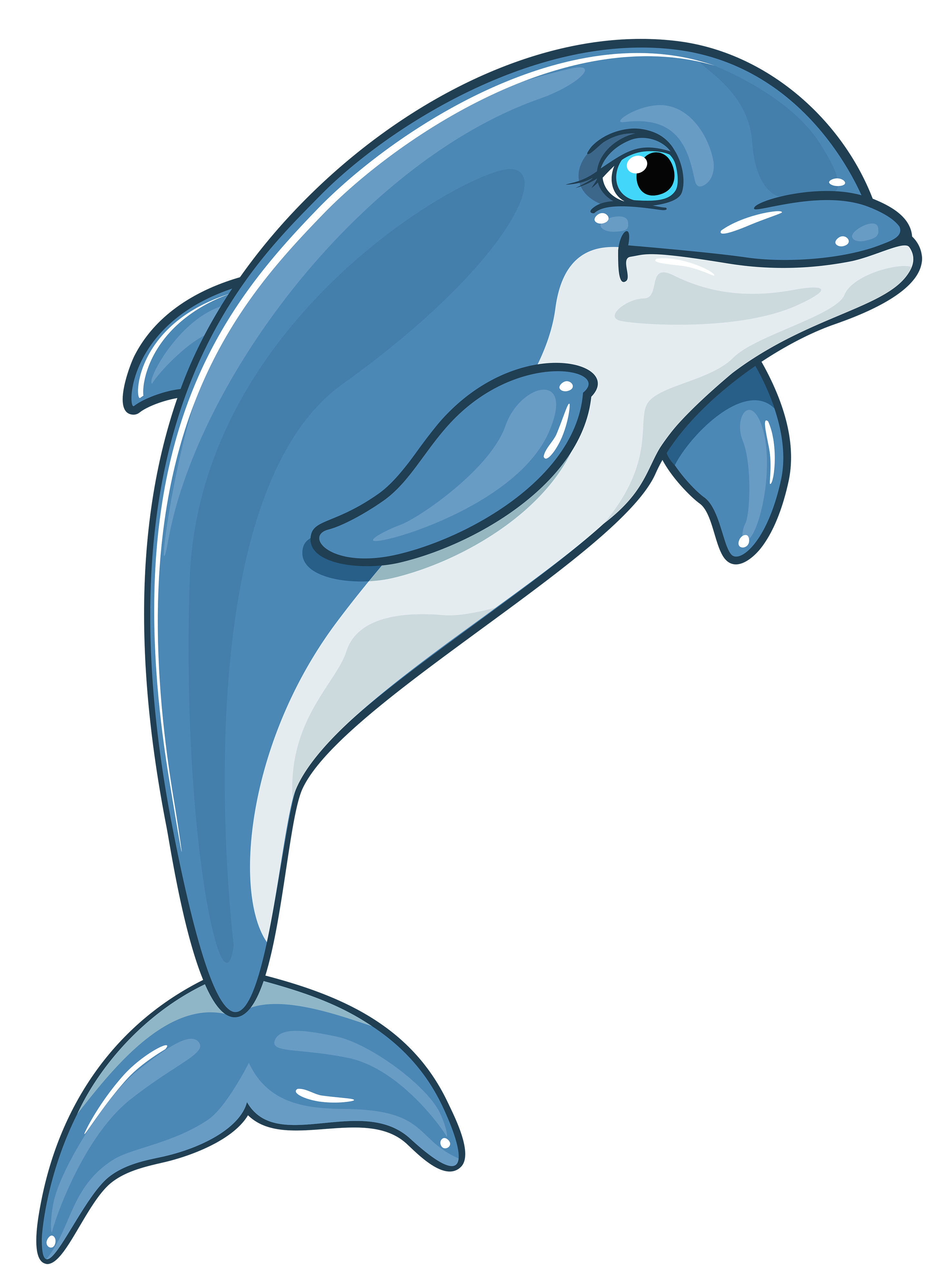 dolphin png clipart clipart pictures #21996