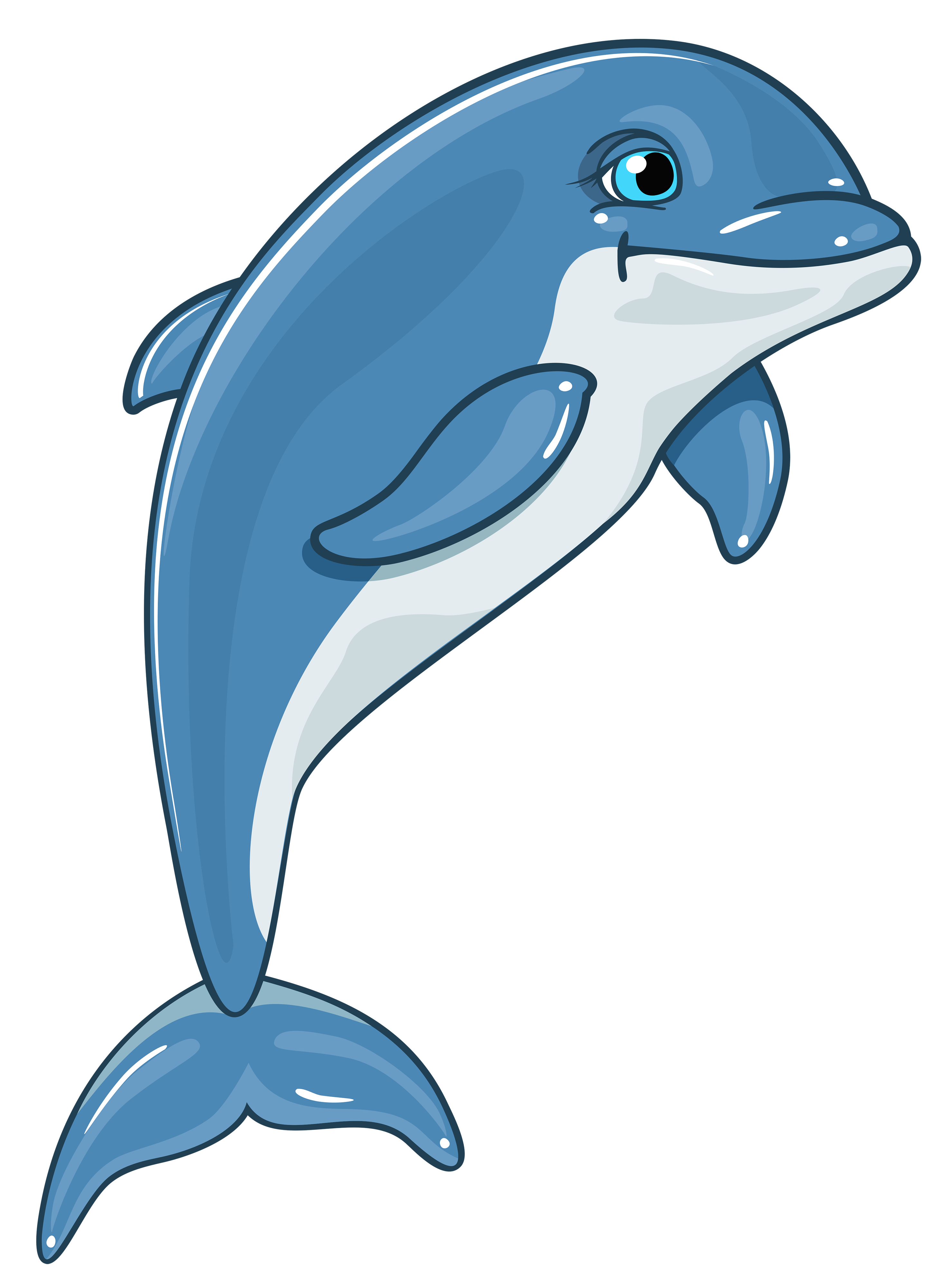 Dolphin