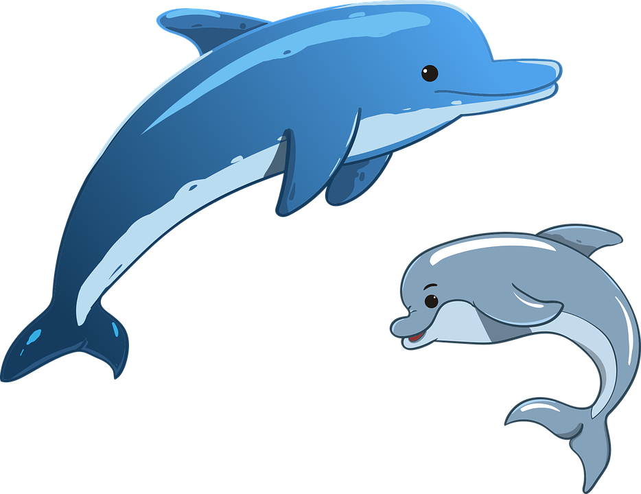 dolphin sea animals mother and vector graphic #22009