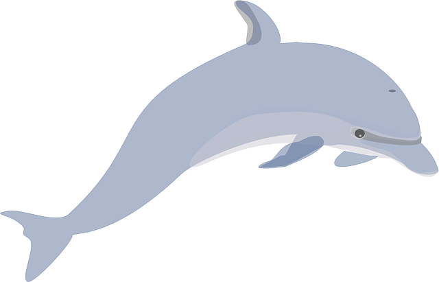 vector graphic dolphin mammals swimming cute #22031