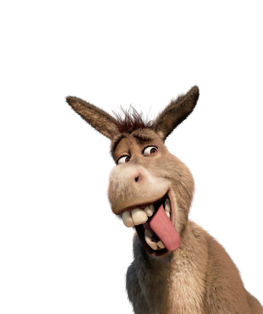 Donkey