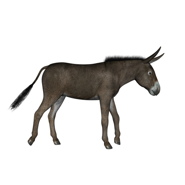 illustration donkey walking animal brown #37029