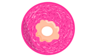 image donut object mayhem wiki #19273