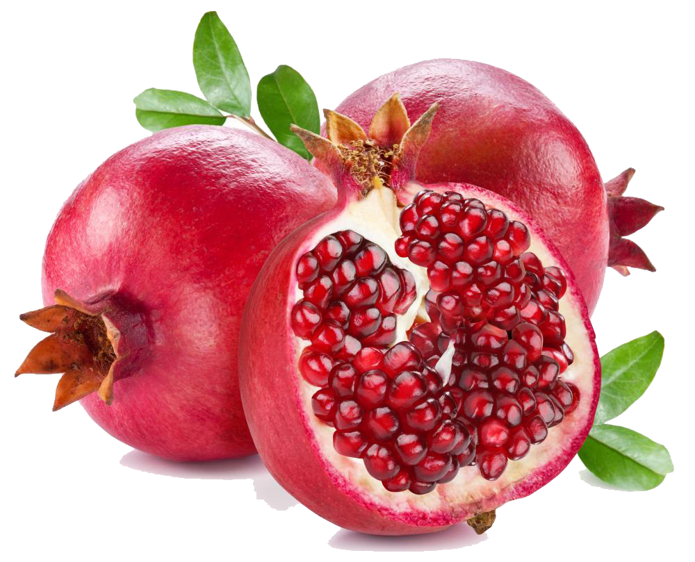 download clipart, download pomegranate png clipart transparent png #31770