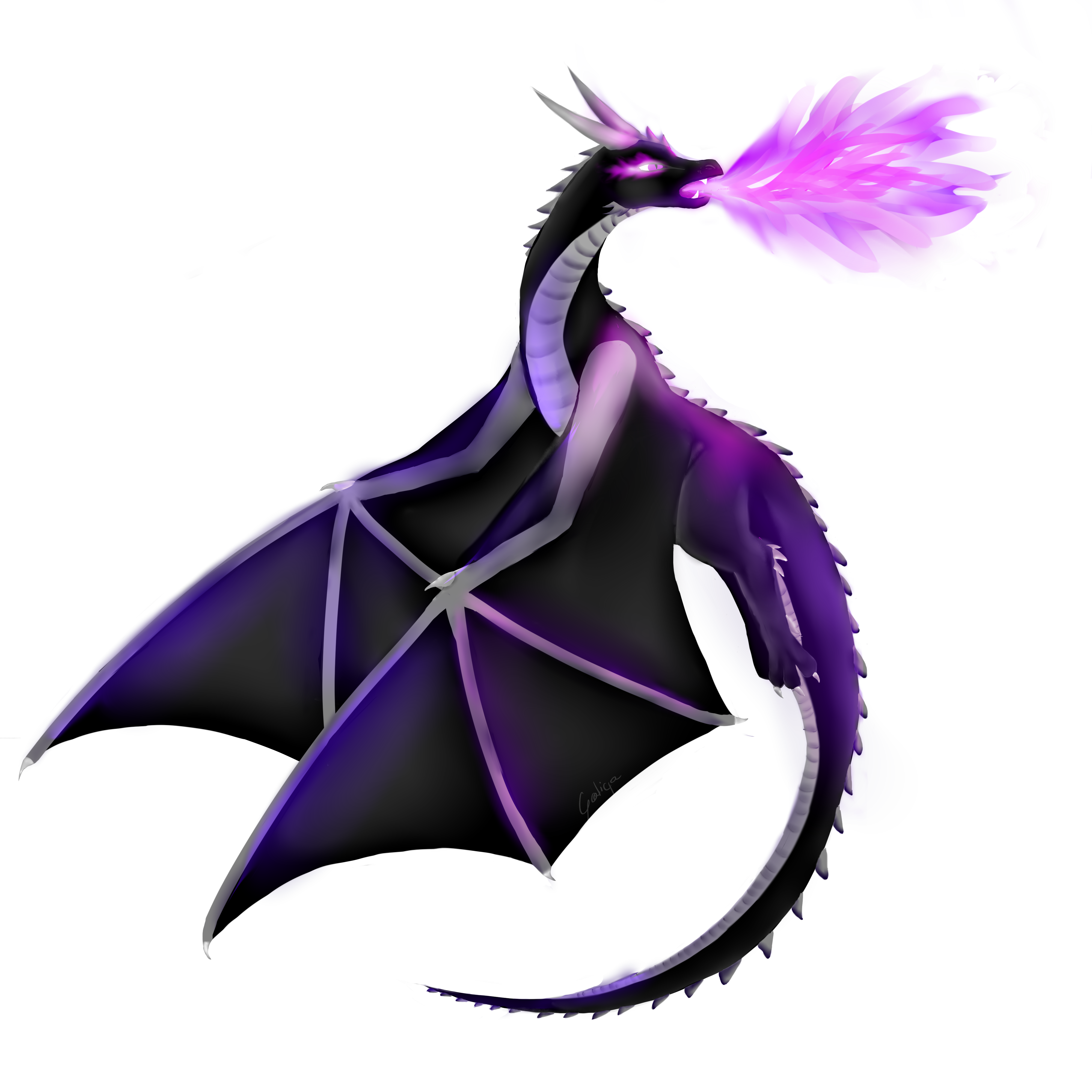 dragon hunterbright enderdragon galicja deviantart #15739