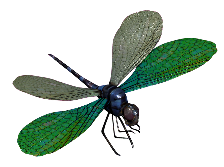 blue dragonfly model toysoldierthor deviantart #39352