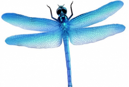 blue dragonfly png images transparent download #39347