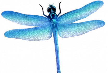 Dragonfly Clipart Images Free Download Dragon Fly Png Free Transparent Png Logos