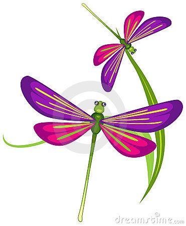 cartoon dragonfly illustrations cartoon #39375