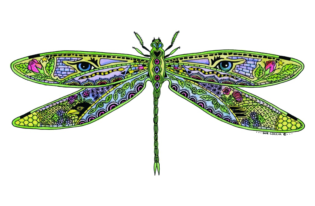 colorful dragonfly transparent images png pictures photos #39372