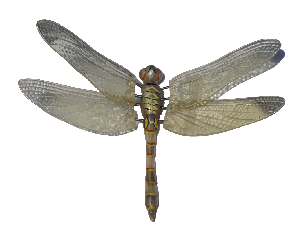 dragon fly clipart for dragon fly clipart #39354