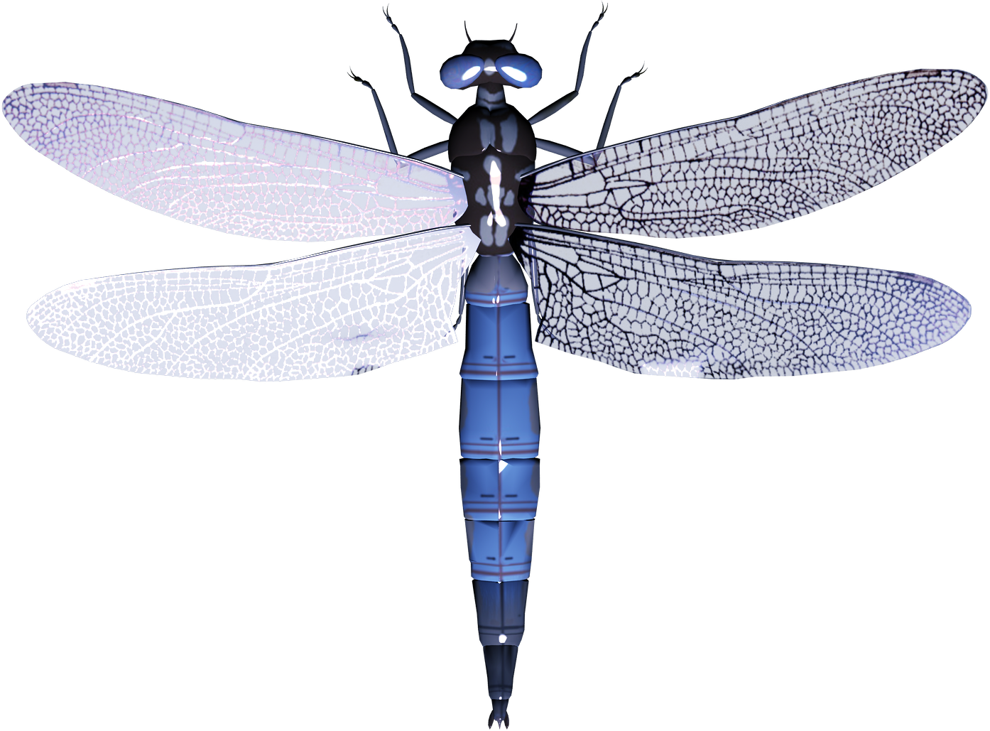 dragonfly blue png images download #39350