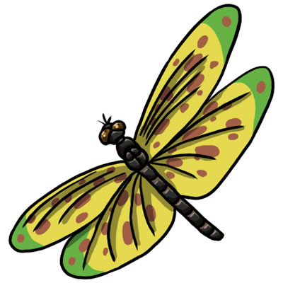 dragonfly clip art #39376
