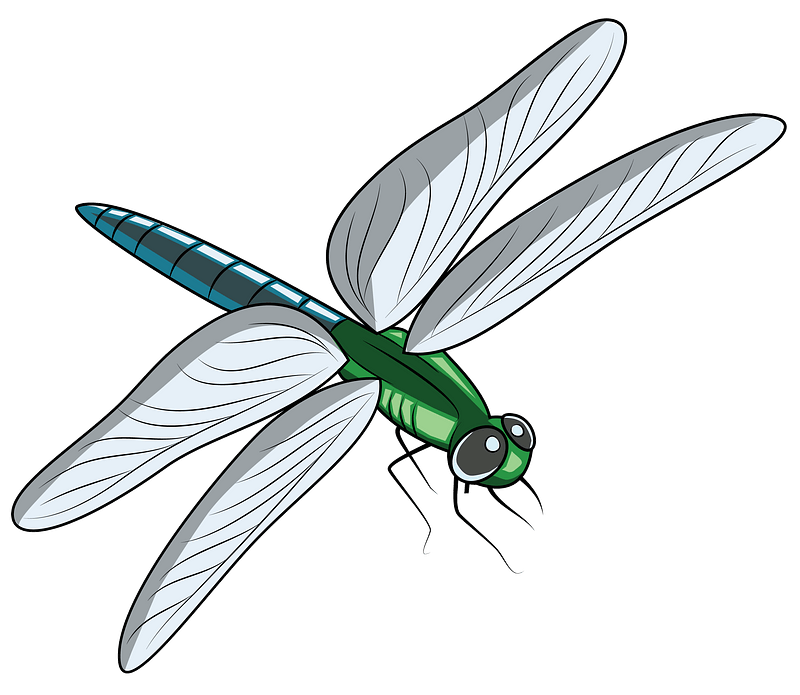 Dragonfly Clipart Images Free Download Dragon Fly Png Free | Images and