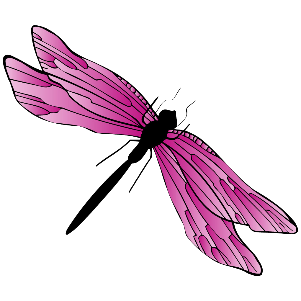 dragonfly pink animal #39367
