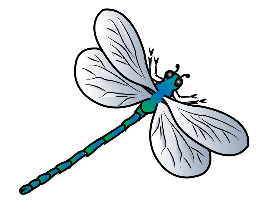 dragonfly vector jscollon deviantart #39381