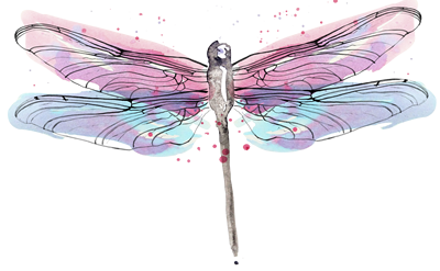 dragonfly wings png #39351