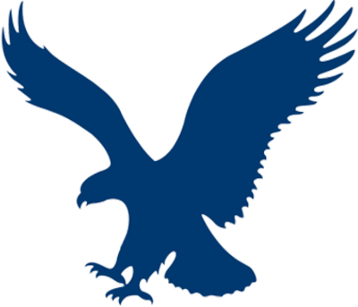 Image result for eagle png