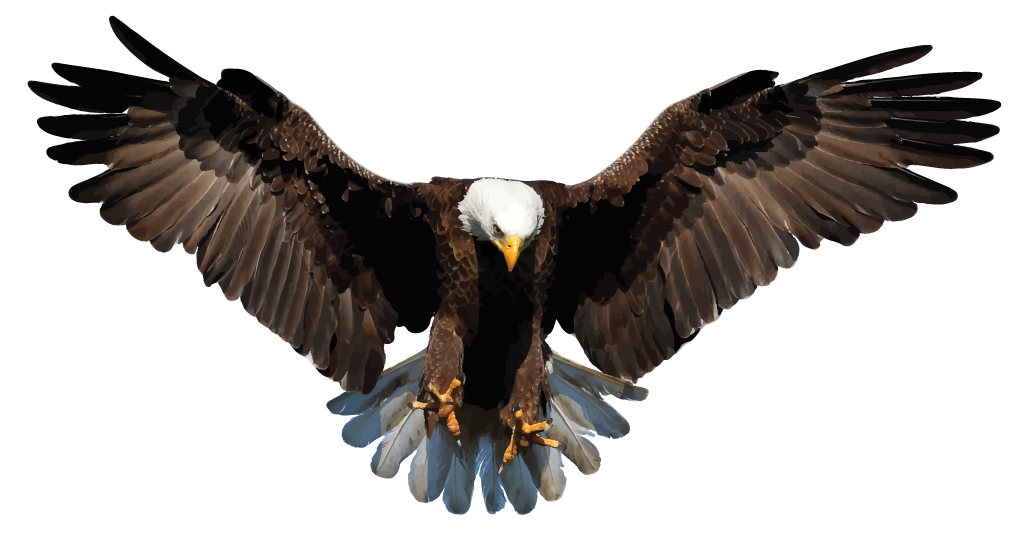 Eagle Transparent PNG, Eagle Head, Bald Eagle Clipart Free Download - Free  Transparent PNG Logos