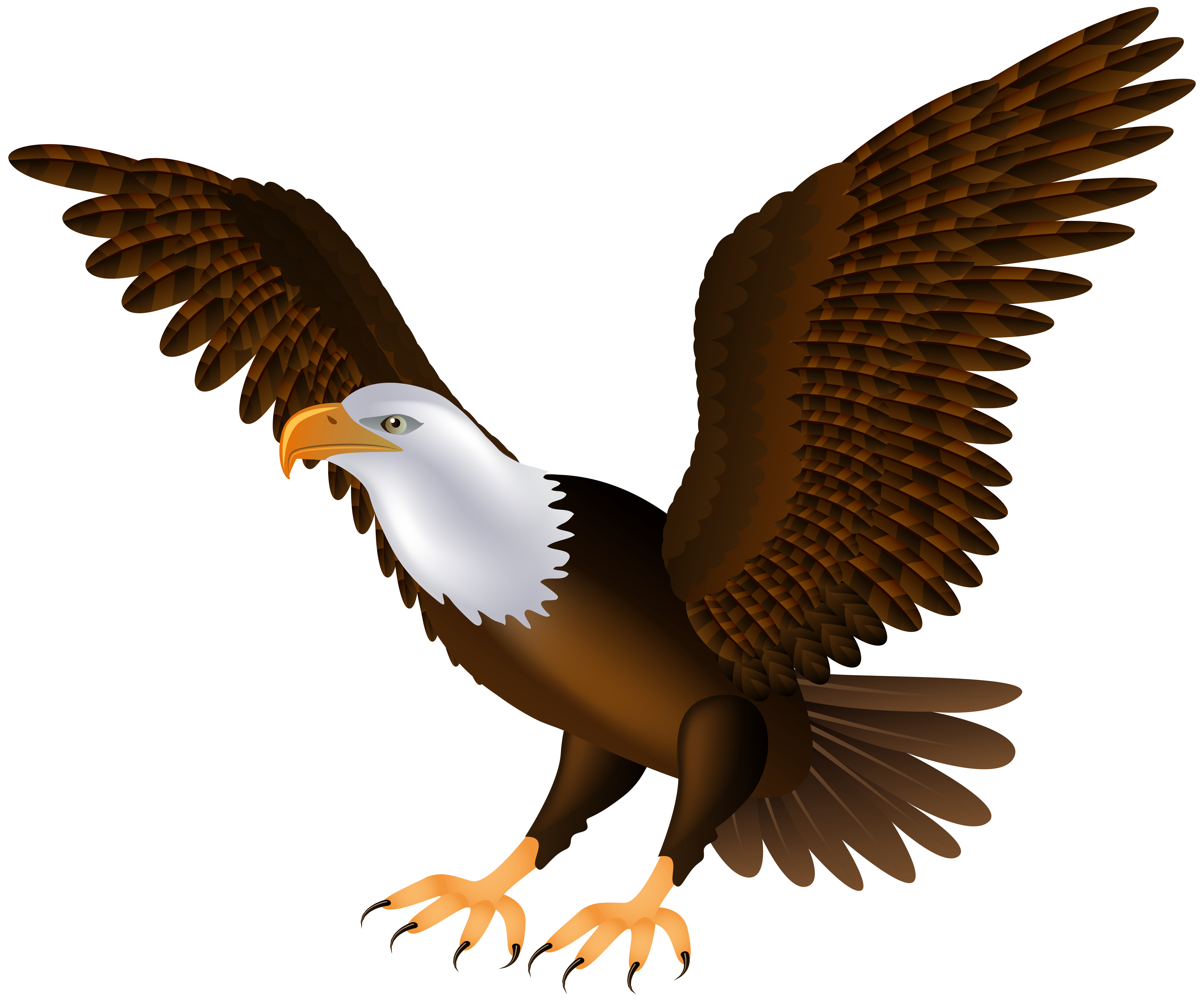 eagle png clip art best web clipart #15188