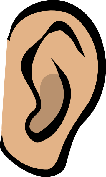 ear body part clip art clkerm vector clip art online royalty domain #29789