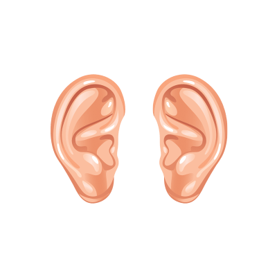 ear, cartoon ears transparent png stickpng #29764