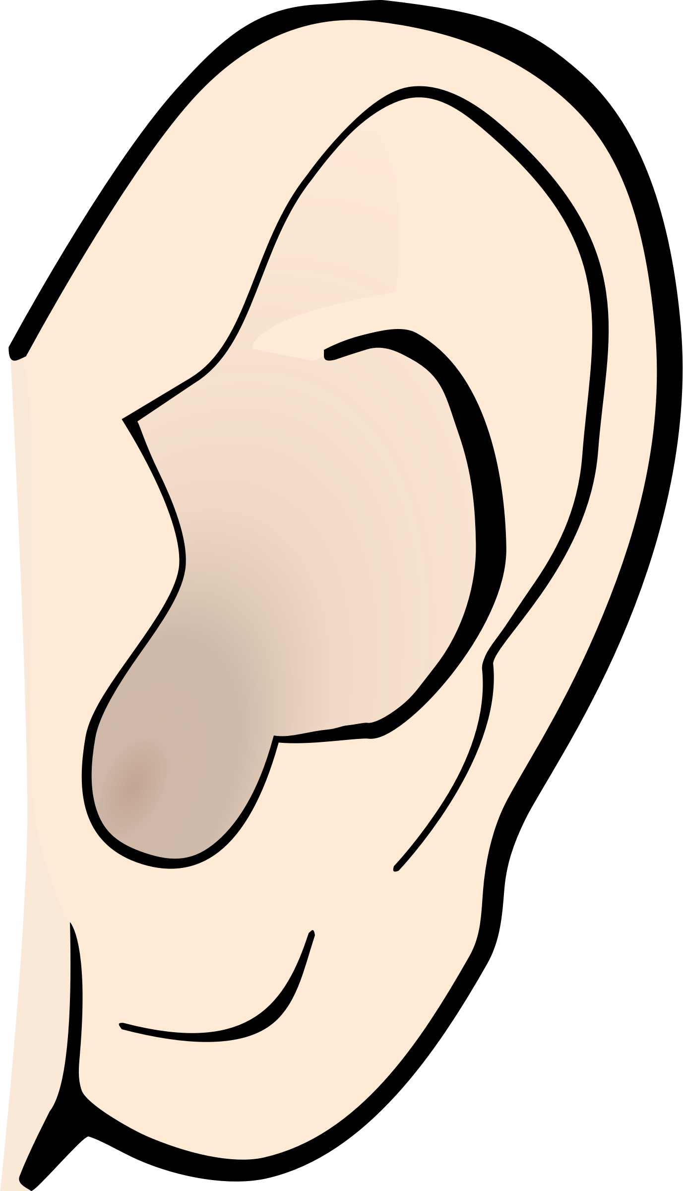 Ear